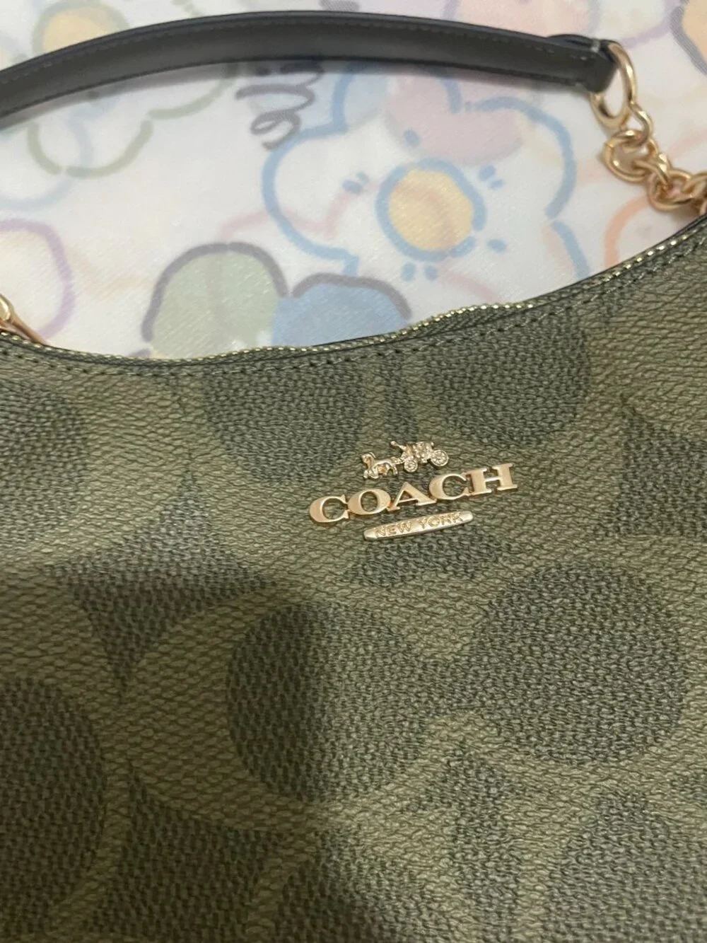 Coach Teri Mini Green Shoulder Bag